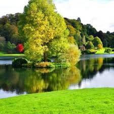 คริส หอวัง avatar