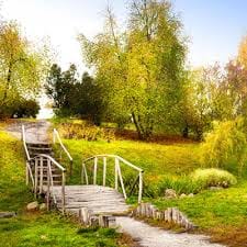 ลิซ่า แบล็คพิงค์ avatar